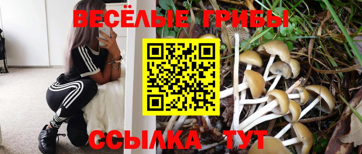 Галлюциногенные грибы MAGIC MUSHROOMS  Галлюциногенные грибы прущие грибы  Якутск  наркота  Вход с VPN 